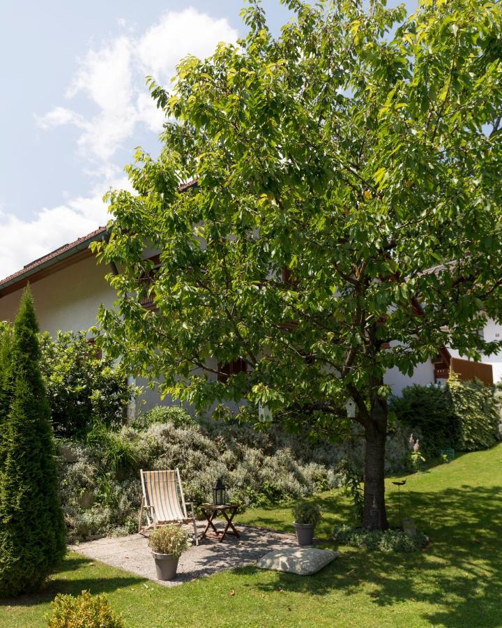 Apartments Olip Блед Экстерьер фото